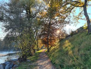 Wettbewerb: Fotos der Gemeinde